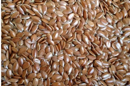 Насіння льону