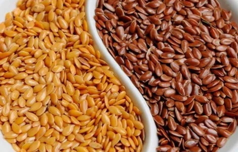 Лен масличный