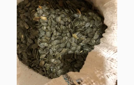 Продам зернята "Голосім'янка"