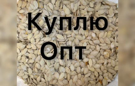Купим Семена тыквы всех сортов