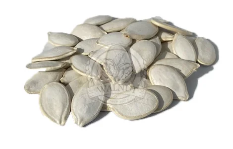 Закупаємо по всій Україні, насіння гарбузове різних сортів