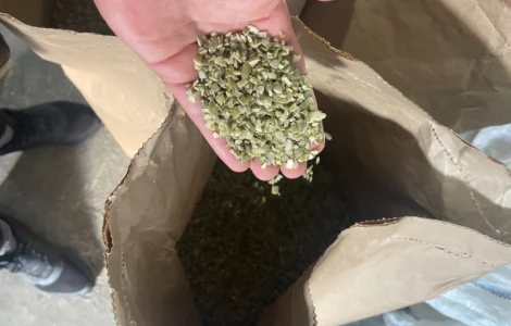 Продам тыквенные семочки бой на масло