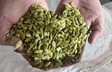 Продам чищену кабакову насіння на масло