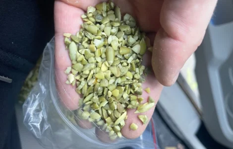 Продам чищенную Семочку нового урожая на масло