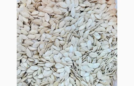 Куплю насіння гарбуза