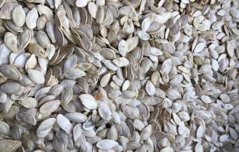 Закуповуємо гарбузове насіння