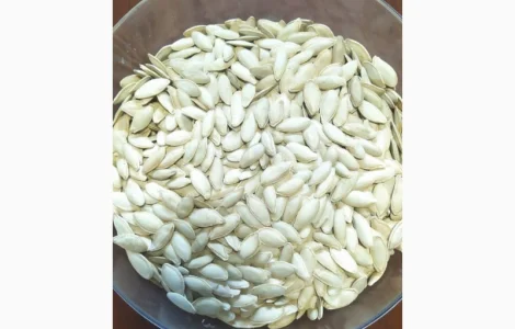 Купуємо насіння гарбузове