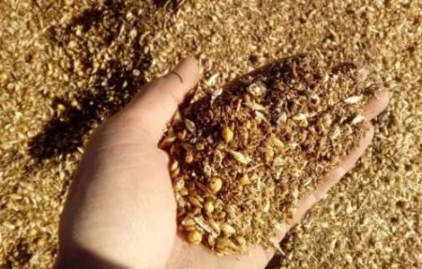 Закуповуємо зерновідходи зернові, олійні, бобові