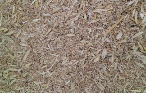 Зерновідходи, некондиція, бите зерно, зерносуміші. Закуповуємо дорого