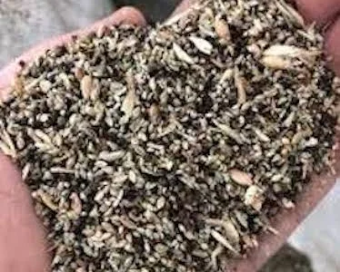 Закупівля зерновідходи, некондиция