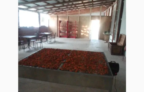 Фермерське господарство продає суху квітку нагідки висуш.тепловим обдувом