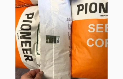 Насіння соняшнику та кукурудзи, залишки 2022 року врожаю, знижки, оригінал