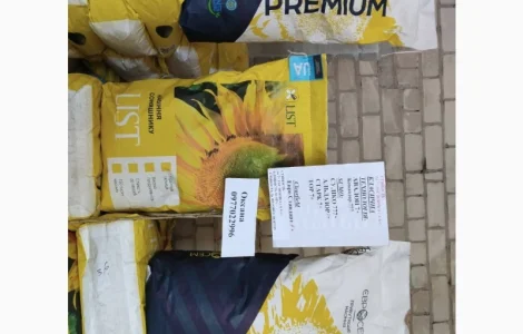 Продам насіння соняшнику та кукурудзи Прайм, Фієста, Хотин та ріпаку Шерпа