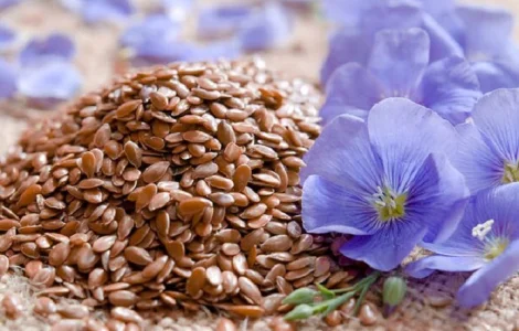 Продам расторопшу, лен, рыжик