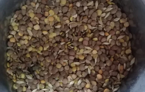 Продаємо відходи гірчиці білої