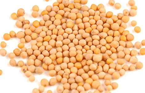 Насіння гірчиці біла