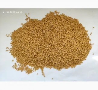 Продам семена Горчицы белой сорт Андромеда