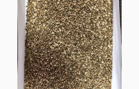 Закупівля половинок коріандру в Харкові