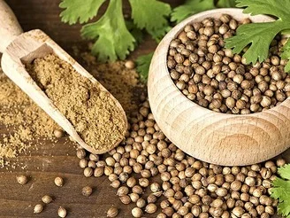 Продам семена кориандра Янтарь