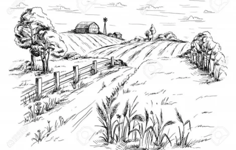 Закупаем ЖИТО постоянно. Самовывоз. Быстро