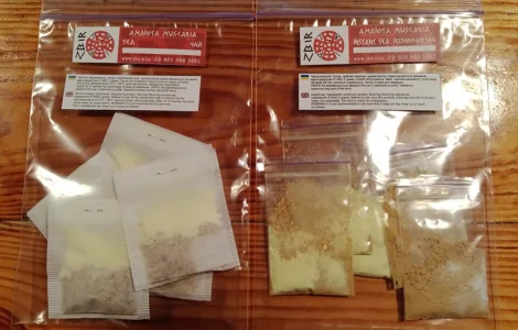 Чай з червоного мухомора та пантерного мухомора у пакетиках