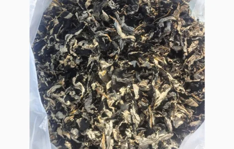 Ферментований чай з листя малини