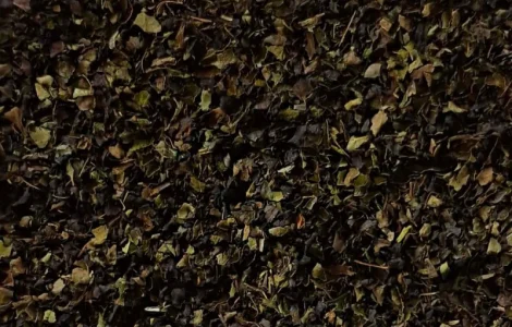 Чай купаж чорно-зелений – якісний вибір