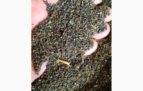 Куплю отходы кукурузы и сои