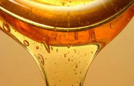 Продам Соєвий лецитин (Емульгатор Е322) в бочках 200 кг