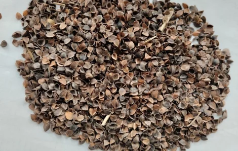 Лузга гречана