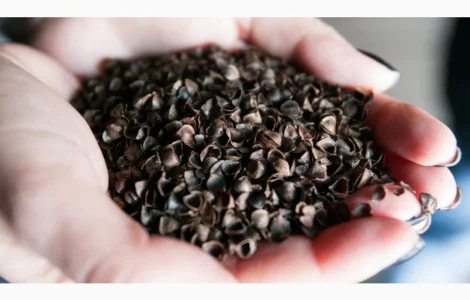 Продам лузгу гречану