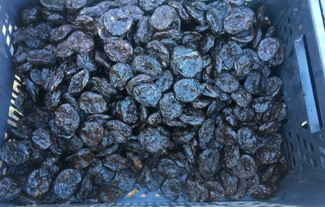 Чорнослив, Мариновані Гриби, Огірок, Помідор