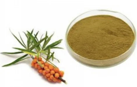 Продам порошок из облепихи