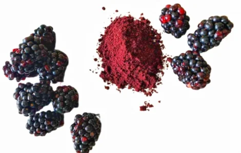 Продам порошок з ожини