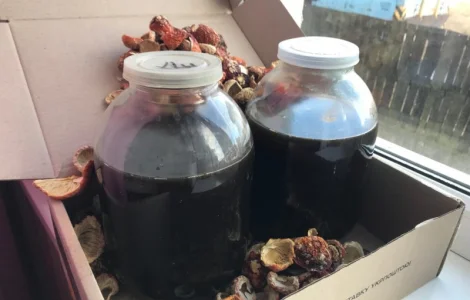 Настойка мухомора красного – 0.5 л за 200 грн