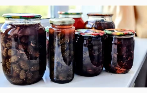 Солнечный сироп из сосновых шишек