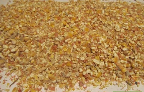 Закупаем сельхозпродукцию с повышенной влажностью