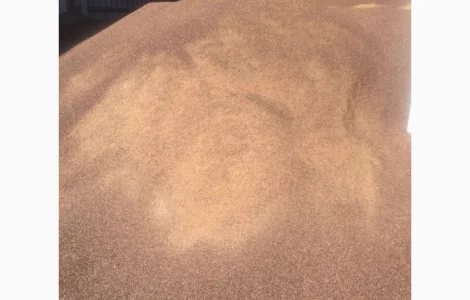 Продам шелуху гречневую