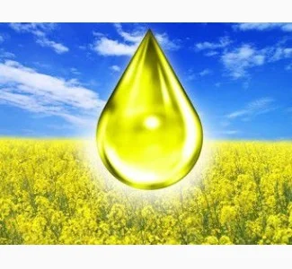 Купим масла технические