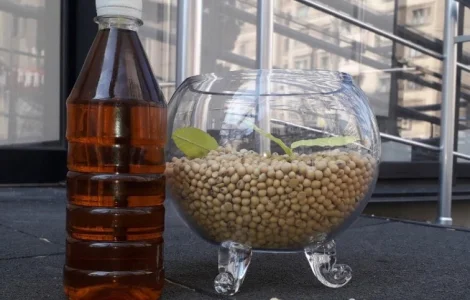 Продам соєве масло від виробника