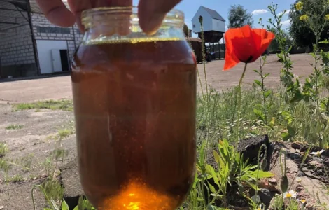 Продаємо фільтровану соєву олію від 50 кг (без фузи)