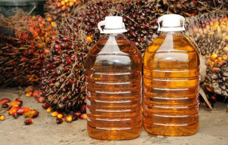 Растительное масло техническое закупка