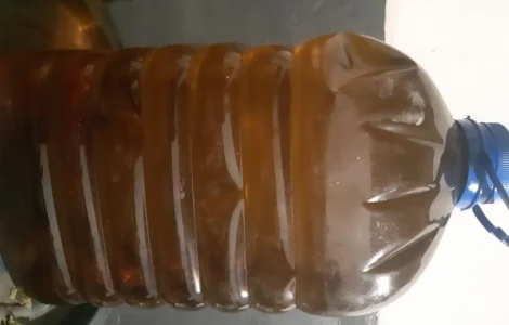 Целебное подсолнечное масло первого холодного отжима