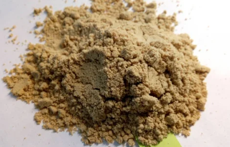 Тыквенная мука от производителя, порошок тыквы