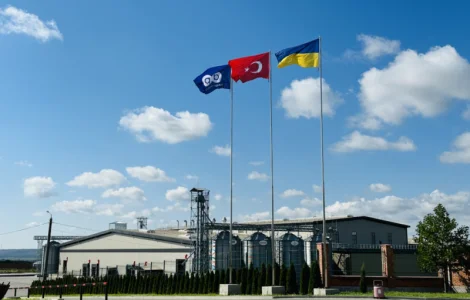 Продам крупи булугур від виробника с 20 тонн