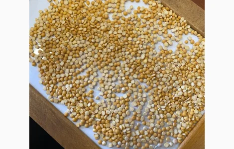 Продажа круп Экспорт FCA