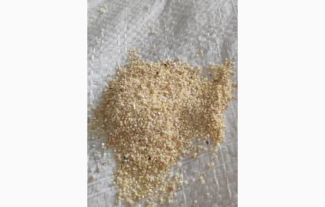 Січка пшона