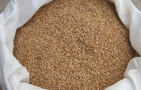 Гречка січка, крупа гречана, гречневая крупа в мешках по 25кг