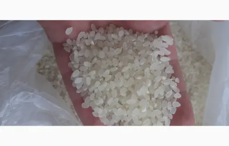Продам Рис длинный