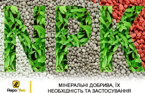 Міндобрива NPK для соняшника